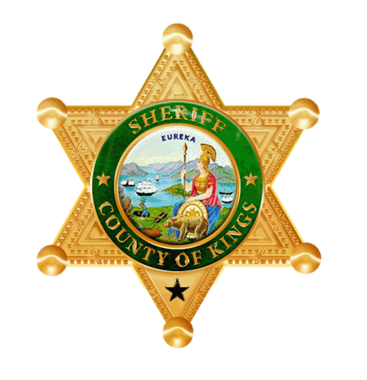 559CCW California Online CCW Permit Course Kings County Online CCW Course Sheriffs Department Logo 1